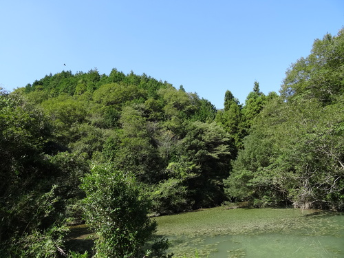 c0108460_17355670.jpg