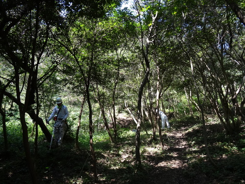 c0108460_1740144.jpg
