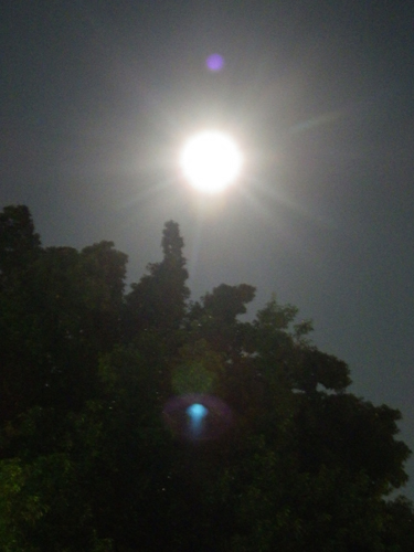 a0053063_0365982.jpg