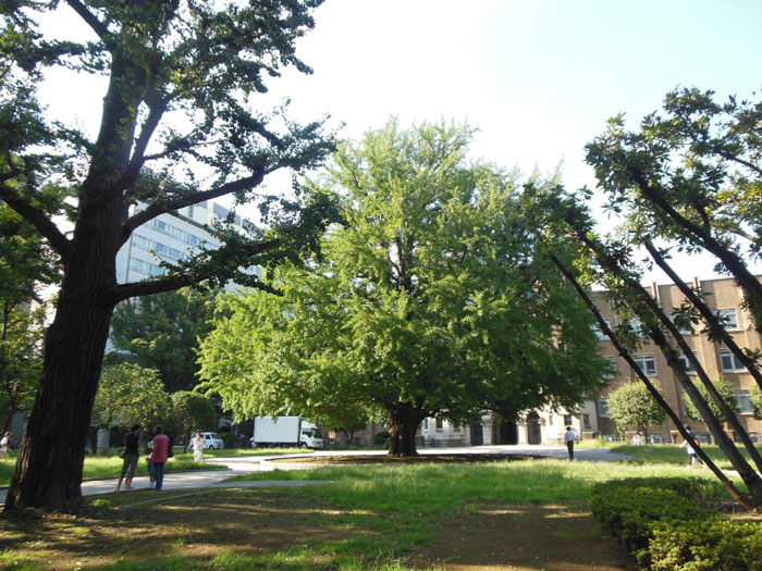 a0053063_1912239.jpg
