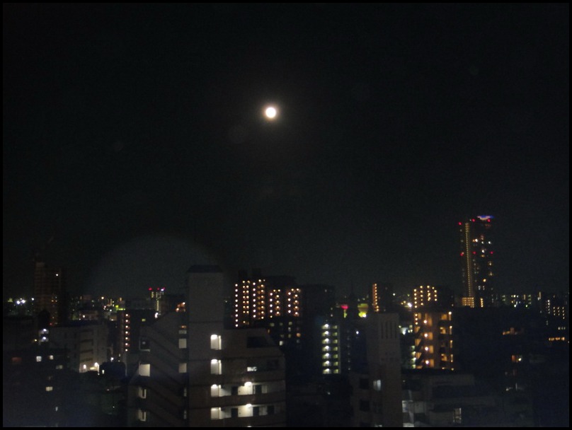 c0084268_7422541.jpg