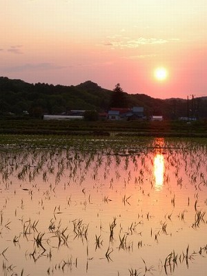 第２回アドベントカレンダー（７日目）「松前藩の農業開発と厚沢部川」_f0228071_1641499.jpg