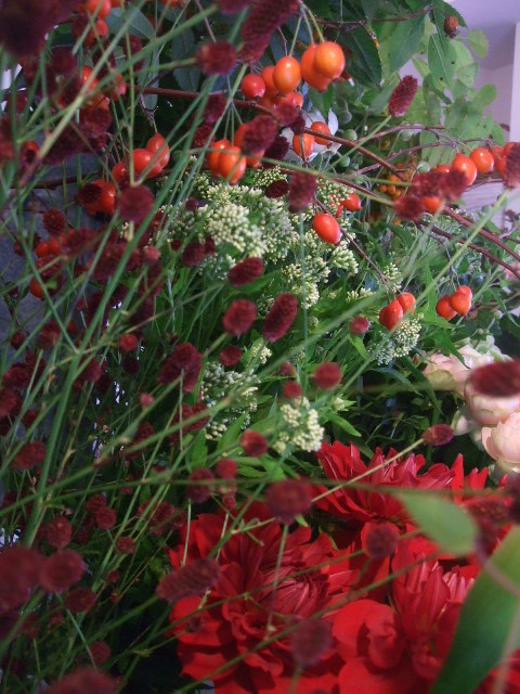 f0049672_15382928.jpg
