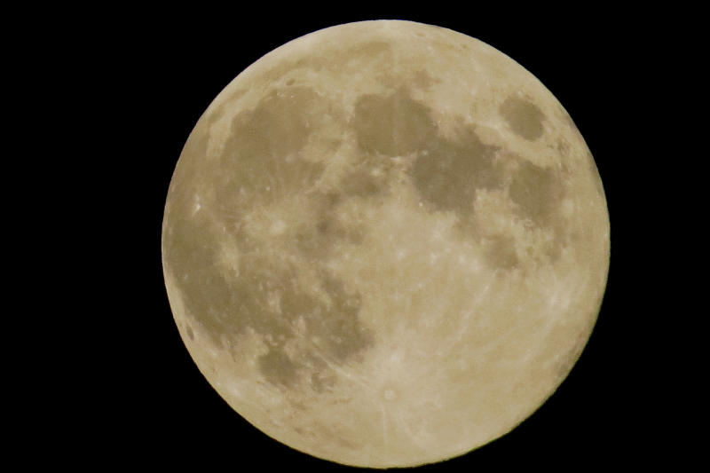 c0054876_8292936.jpg