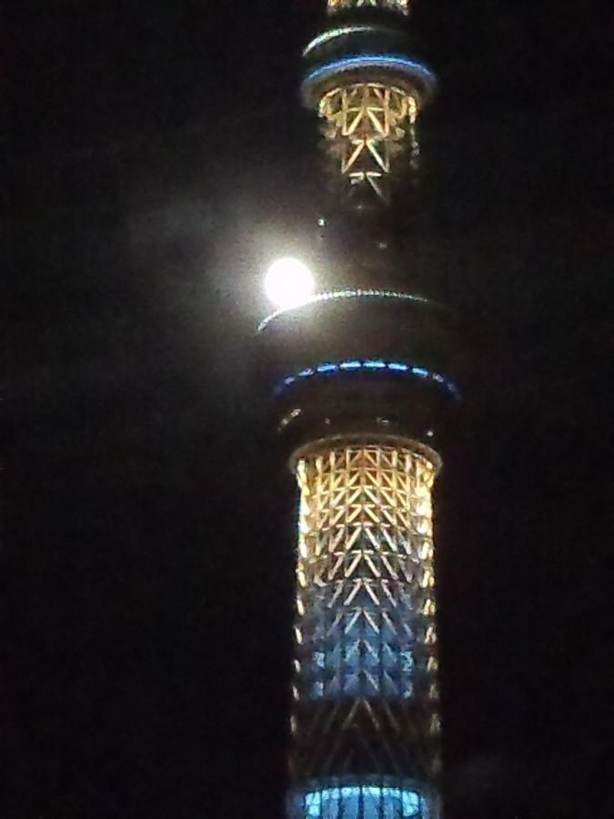 b0163381_0542037.jpg