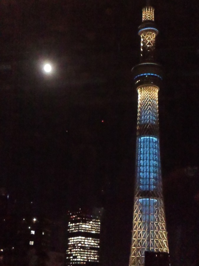 b0163381_0542726.jpg
