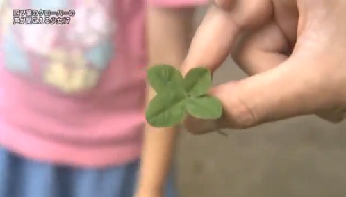 素晴しい 四葉のクローバーの声が 419 Arcadia Rose