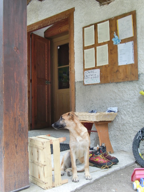 平地から清らかな高地へ　…　ドラミテ旅行　2_c0027188_230782.jpg