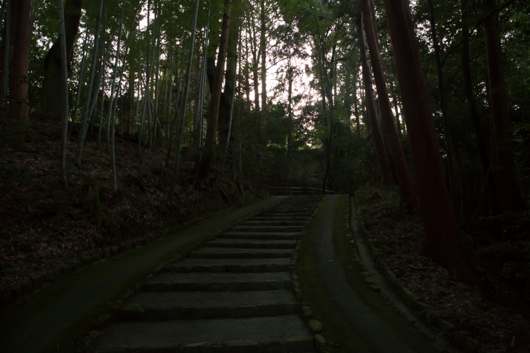 正伝寺_e0051888_131357.jpg