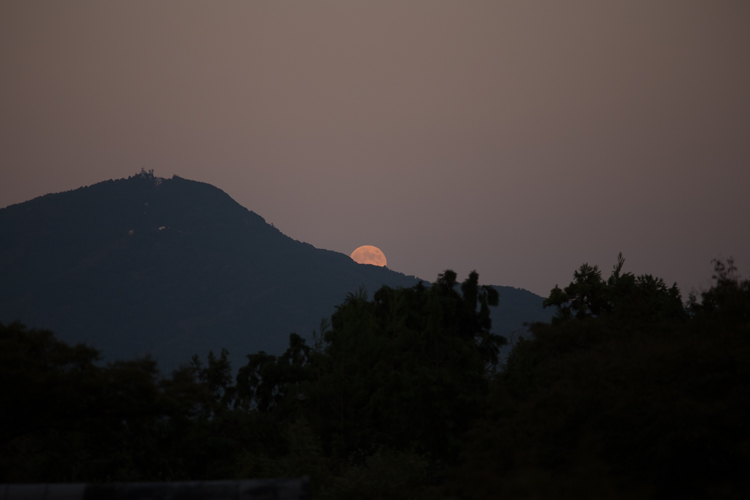 正伝寺_e0051888_133158.jpg