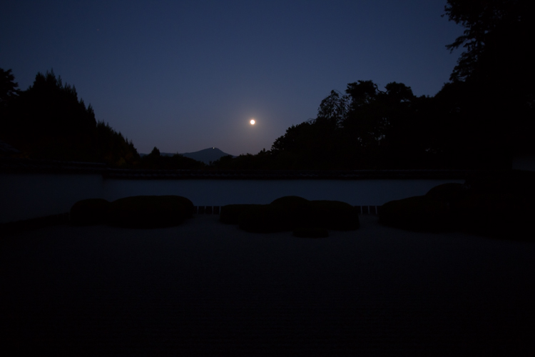 正伝寺_e0051888_141167.jpg