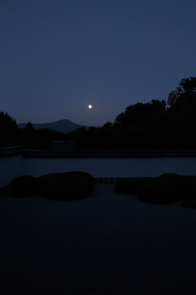 正伝寺_e0051888_14283.jpg