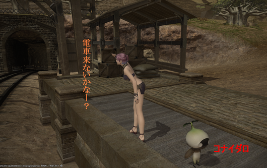 b0296791_4581258.png