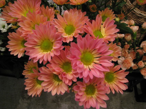 e0260793_21243548.jpg
