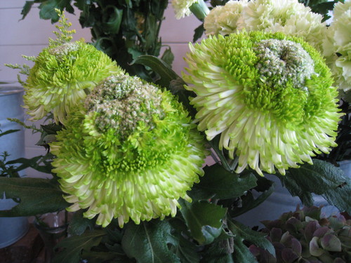e0260793_21263389.jpg