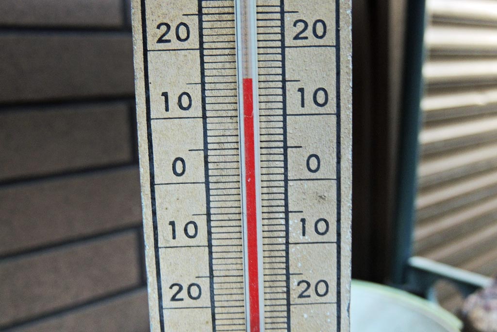 b0024798_153449.jpg