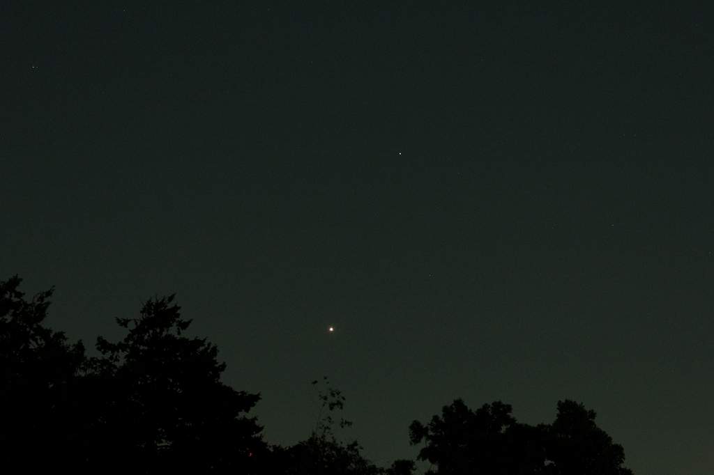 b0024798_1575497.jpg