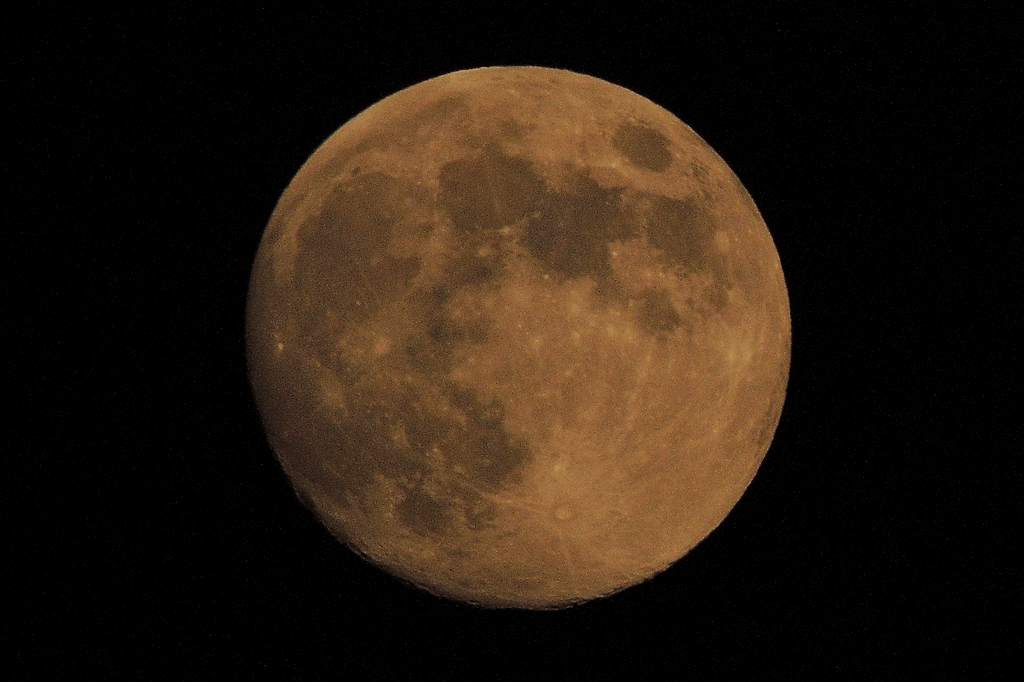 b0024798_1583630.jpg