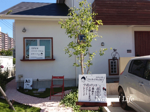 b0162000_6594554.gif
