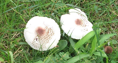 d0299604_9423191.jpg