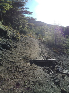 e0028904_20502650.jpg