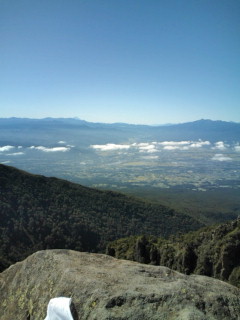 e0028904_205151.jpg