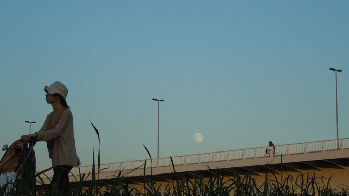 c0051105_0522318.gif