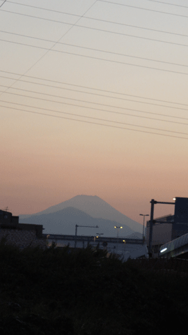 c0051105_0531096.gif
