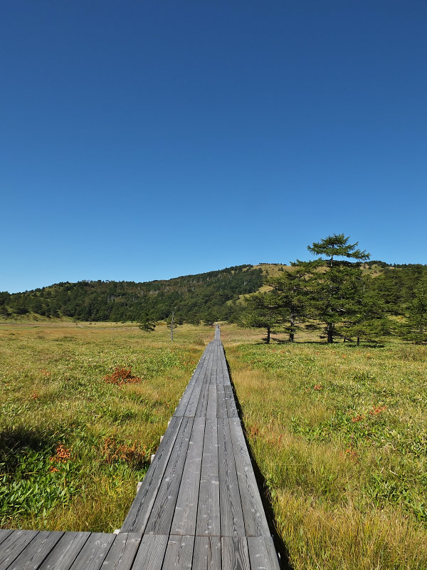 d0078406_802133.jpg