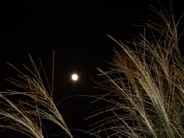 f0231709_8355487.jpg