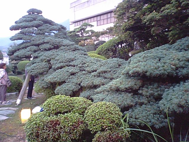 f0231709_8581682.jpg