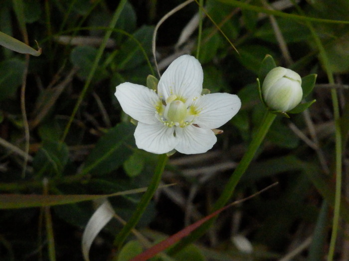 f0219710_654330.jpg