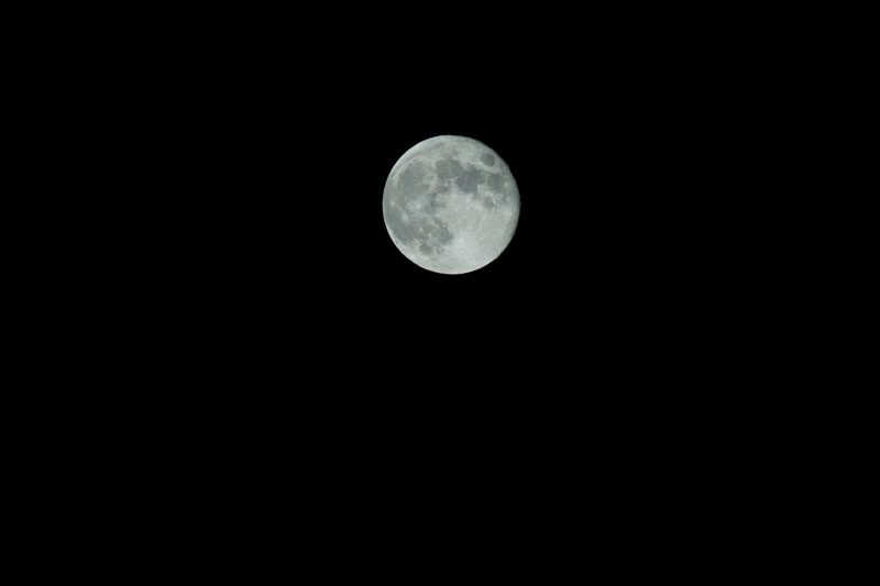a0278914_456126.jpg