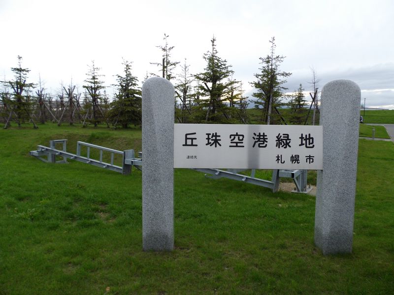 灯台下暗し:丘珠空港緑地発見_c0025115_22455787.jpg