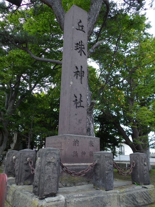 灯台下暗し:丘珠空港緑地発見_c0025115_23234443.jpg