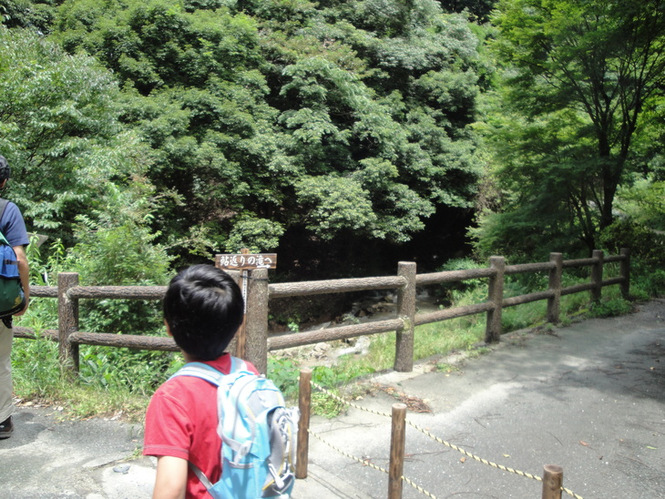 b0291016_152277.jpg