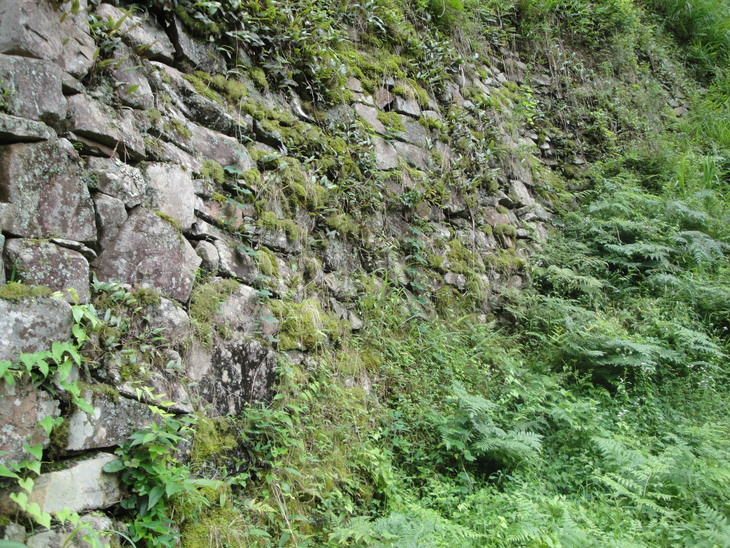 b0291016_16295516.jpg