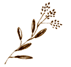 e0157816_12435764.gif
