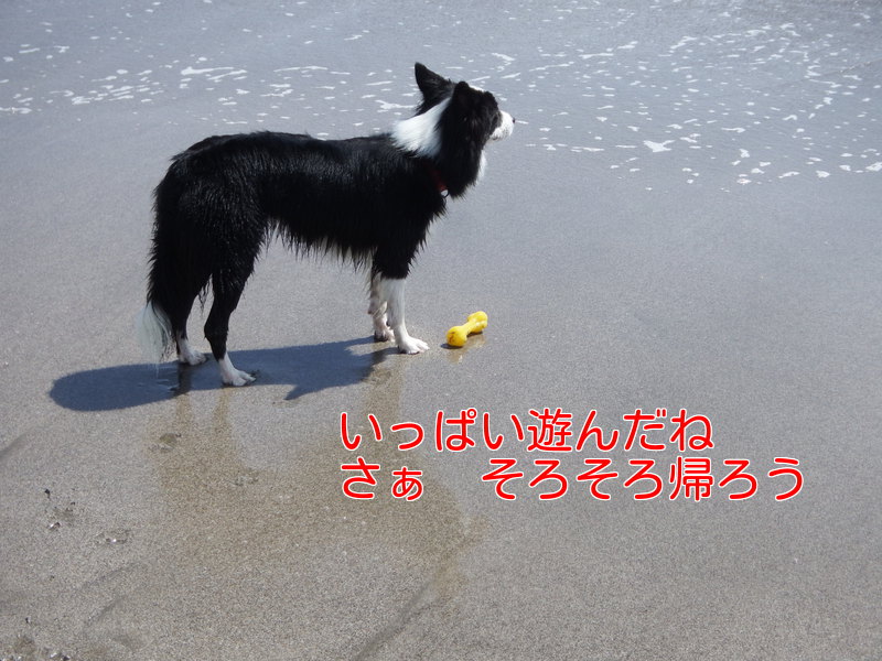 a0232619_20112643.jpg