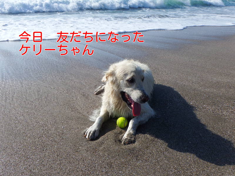 a0232619_2042352.jpg