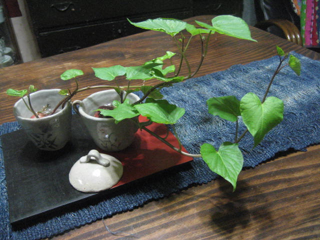 f0139520_233669.jpg