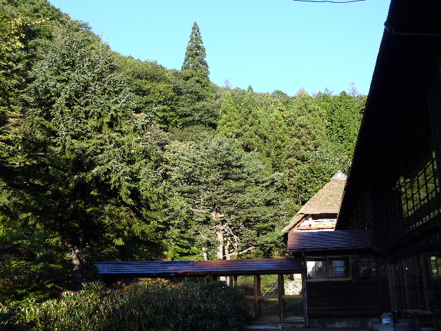 c0141223_19171560.jpg