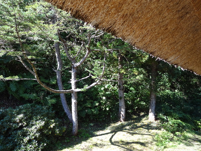 c0141223_19275933.jpg