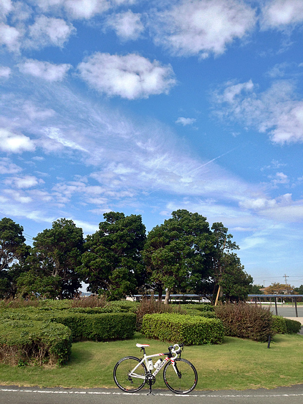 b0302227_1128439.jpg