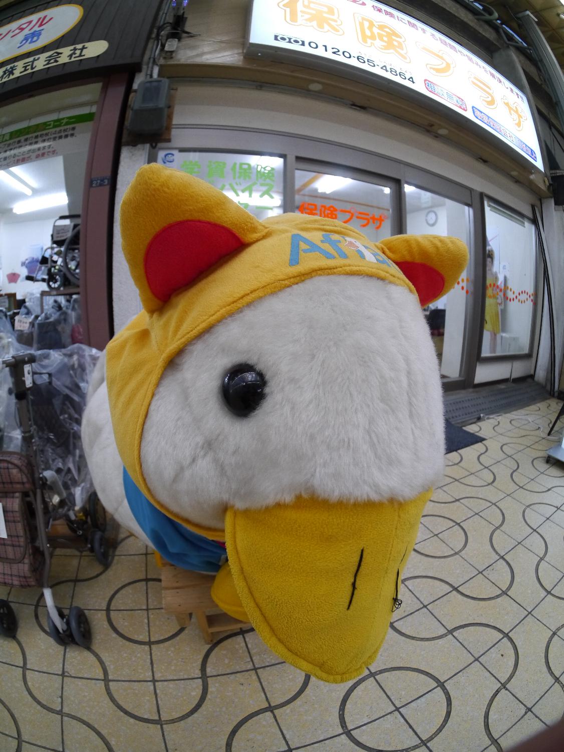 b0069128_8243687.jpg