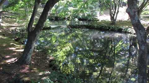 e0202031_230136.jpg