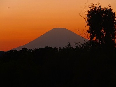 お彼岸の..富士山!_b0137932_9195098.jpg