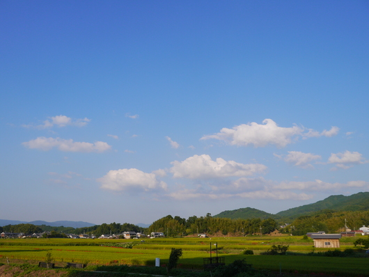a0228333_21532676.jpg