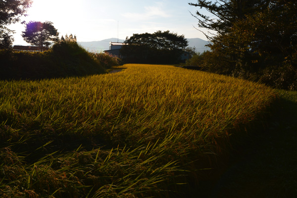 カッパ淵〜岩手県遠野市_b0175635_148091.jpg