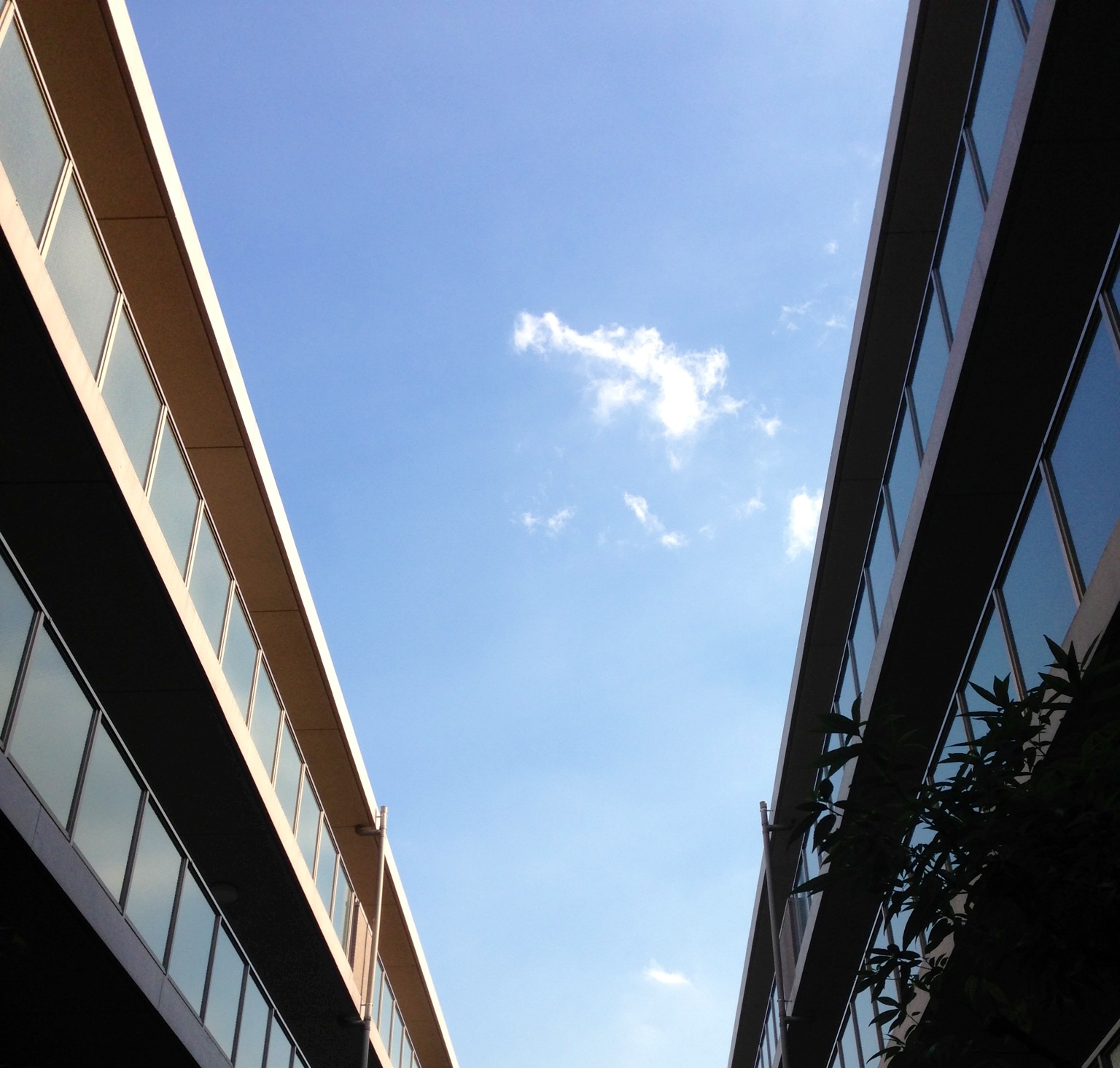 空に。_b0298740_003790.jpg